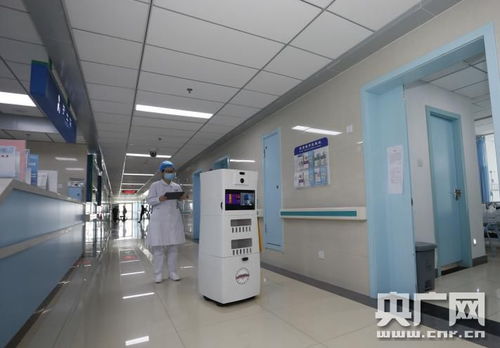 科研團(tuán)隊要攥緊拳頭張開巴掌——記中國工程院院士、合肥工業(yè)大學(xué)教授楊善林的網(wǎng)絡(luò)工程之道